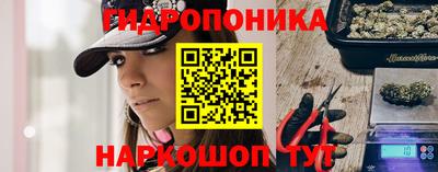 молекула духа Лесосибирск