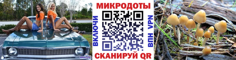 где купить наркоту  Прокопьевск  Псилоцибиновые грибы Psilocybe 