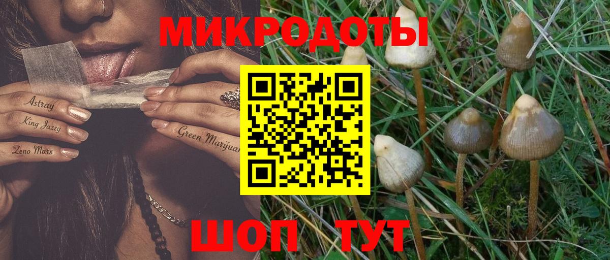 Псилоцибиновые грибы мухоморы Прокопьевск