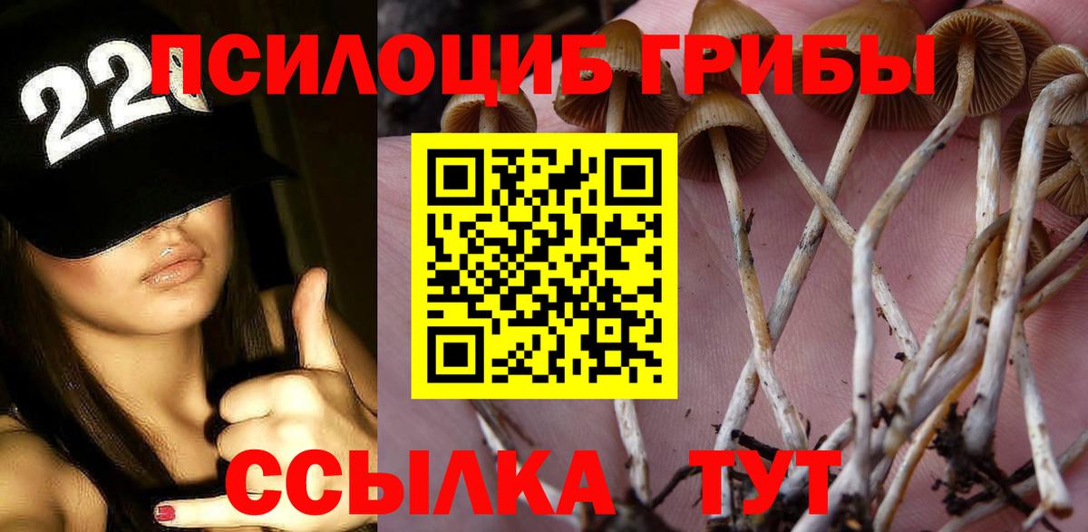 Псилоцибиновые грибы MAGIC MUSHROOMS  Вход с VPN  Прокопьевск  Галлюциногенные грибы мухоморы 