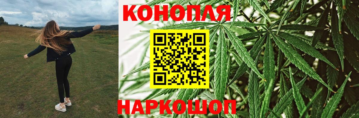 Бошки марихуана THC 21% Прокопьевск